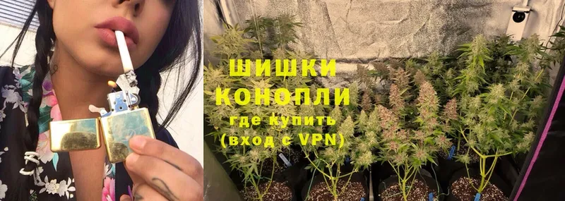 Бошки Шишки SATIVA & INDICA  купить наркотик  Кострома 